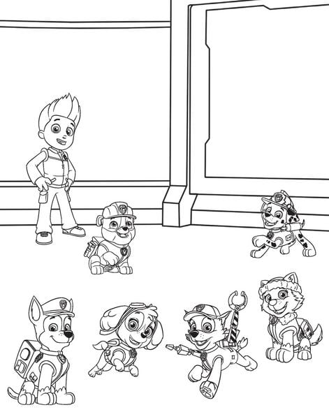 Produktbild: PAW Patrol Wasserzauber - Wassermalbuch ab 3 Jahre