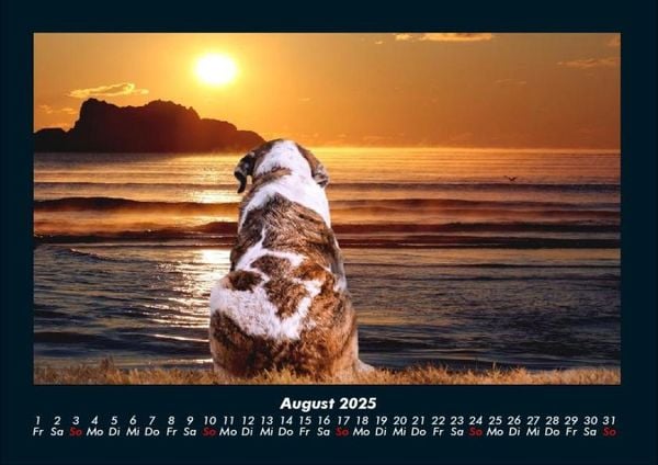 Produktbild: Sonnenunterg&auml;nge 2025 Fotokalender DIN A4