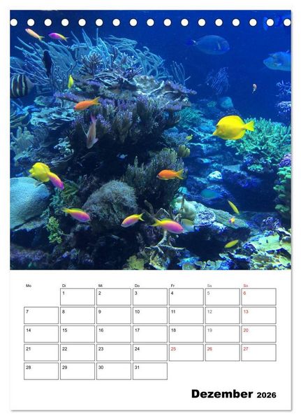 Produktbild: Zauberwelt. Fische, Korallen und Co. (Tischkalender 2026 DIN A5 hoch), CALVENDO Monatskalender
