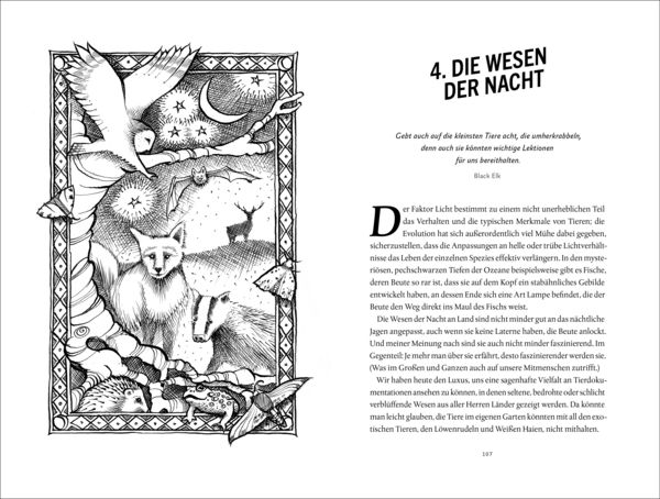 Produktbild: In der Nacht sind alle Sinne wach