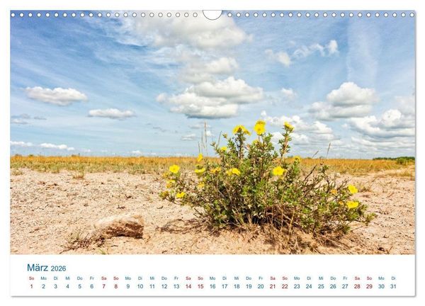 Produktbild: &Ouml;land - Schwedens Insel der Sonne und des Windes (Wandkalender 2026 DIN A3 quer), CALVENDO Monatskalender