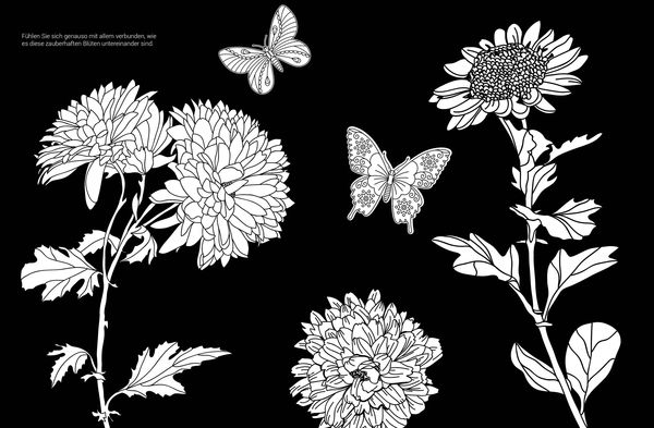 Produktbild: Black Edition: Bl&uuml;ten und Schmetterlinge