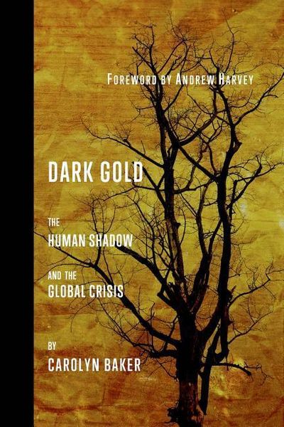 Produktbild: Dark Gold: The Human Shadow and the Global Crisis