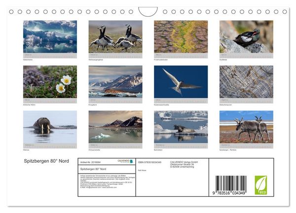 Produktbild: Spitzbergen 80&deg; Nord (Wandkalender 2026 DIN A4 quer), CALVENDO Monatskalender