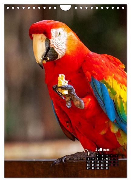 Produktbild: Peru - Kultur - Menschen - Natur (Wandkalender 2026 DIN A4 hoch), CALVENDO Monatskalender