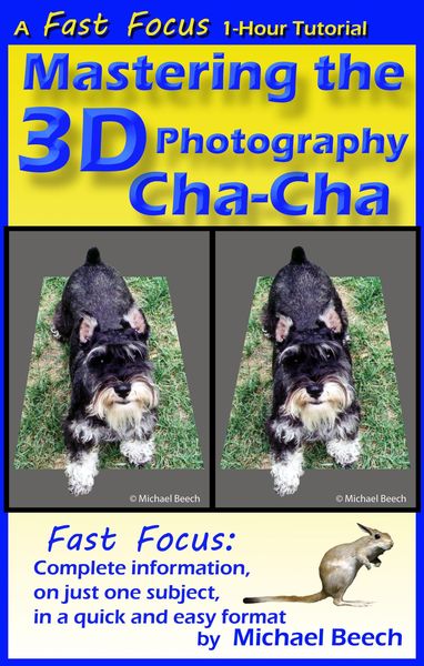 Produktbild: Mastering the 3D Photography Cha-Cha (Fast Focus Tutorials, #3)