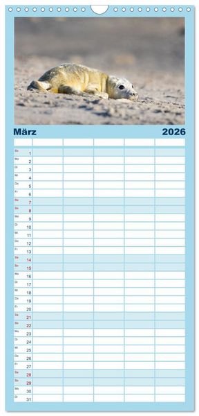 Produktbild: Familienplaner 2026 - Junge Kegelrobben mit 5 Spalten (Wandkalender, 21 x 45 cm) CALVENDO