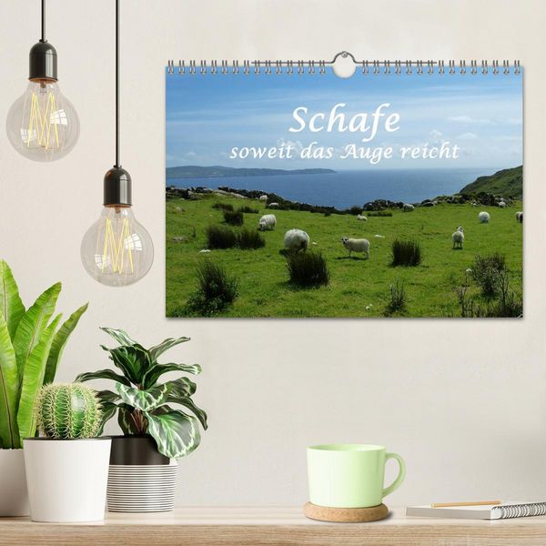 Produktbild: Schafe - soweit das Auge reicht (Wandkalender 2026 DIN A4 quer), CALVENDO Monatskalender