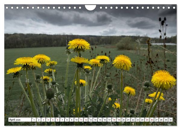 Produktbild: F&uuml;rstenfeldbruck - Streifzug durch Natur und Stadt (Wandkalender 2026 DIN A4 quer), CALVENDO Monatskalender