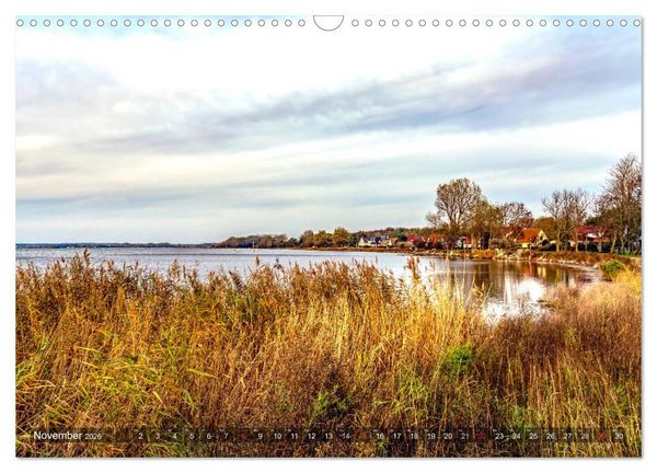 Produktbild: R&Uuml;GEN-LIEBE (Wandkalender 2026 DIN A3 quer), CALVENDO Monatskalender