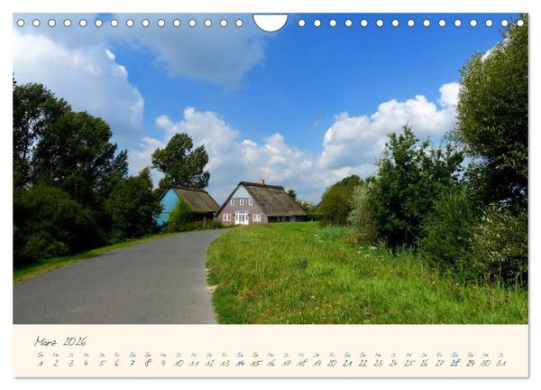 Produktbild: Bremer Blockland - Landleben in der Gro&szlig;stadt (Wandkalender 2026 DIN A4 quer), CALVENDO Monatskalender