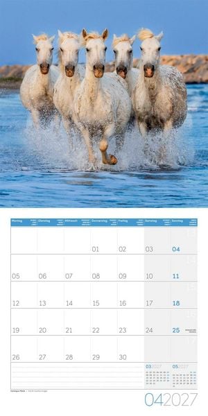 Produktbild: Pferde Kalender 2027 - 30x30 - Art12