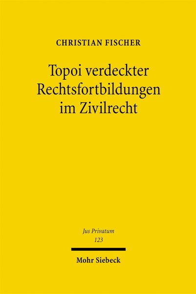 Produktbild: Topoi verdeckter Rechtsfortbildungen im Zivilrecht