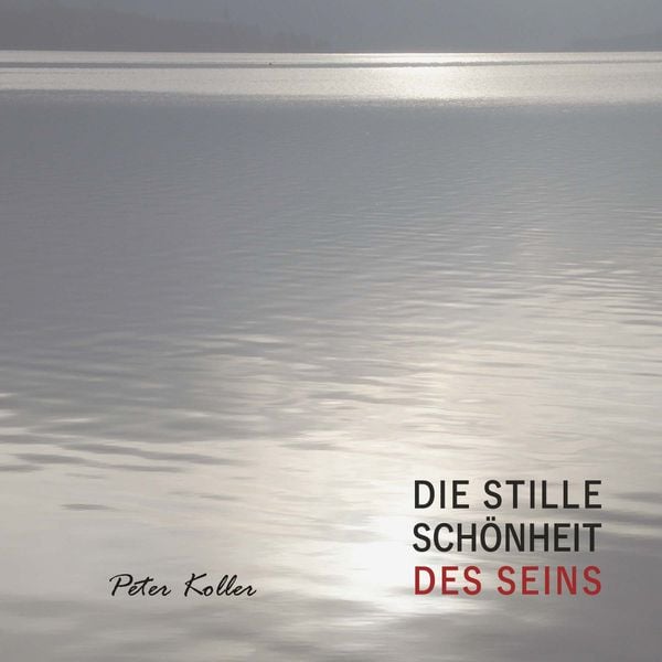 Produktbild: Die Stille Sch&ouml;nheit des Seins