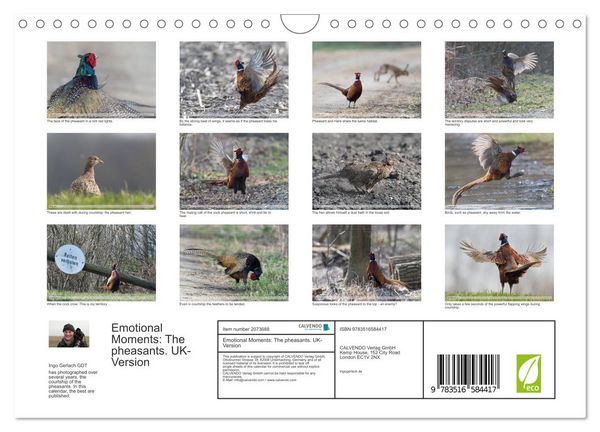 Produktbild: Emotional Moments: The pheasants. UK-Version (Wall Calendar 2026 DIN A4 landscape), CALVENDO 12 Month Wall Calendar