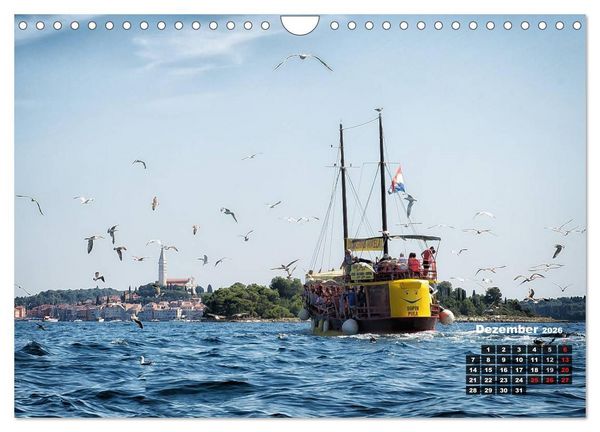 Produktbild: Wie ein Vogel in Rovinj! (Wandkalender 2026 DIN A4 quer), CALVENDO Monatskalender