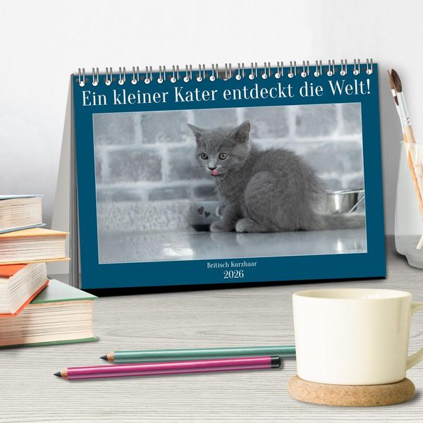 Produktbild: Ein kleiner Kater entdeckt die Welt! (Tischkalender 2026 DIN A5 quer), CALVENDO Monatskalender