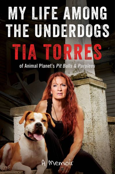 Produktbild: My Life Among the Underdogs