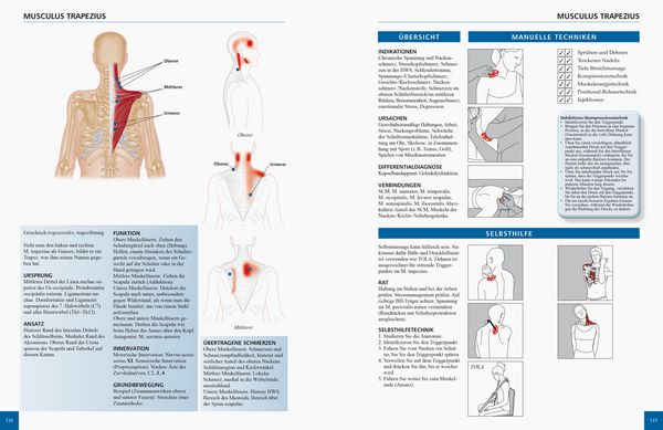 Produktbild: Referenzbuch Triggerpunkt Behandlung