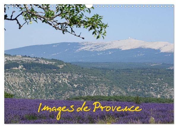 Images de Provence (Calendrier mural 2024 DIN A3 vertical), CALVENDO calendrier mensuel