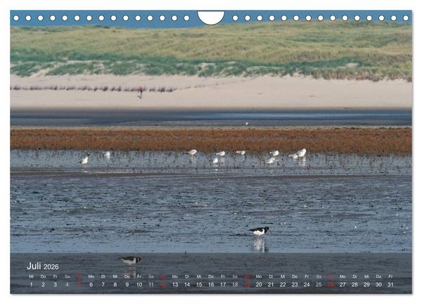 Produktbild: Texel - Meine Insel (Wandkalender 2026 DIN A4 quer), CALVENDO Monatskalender