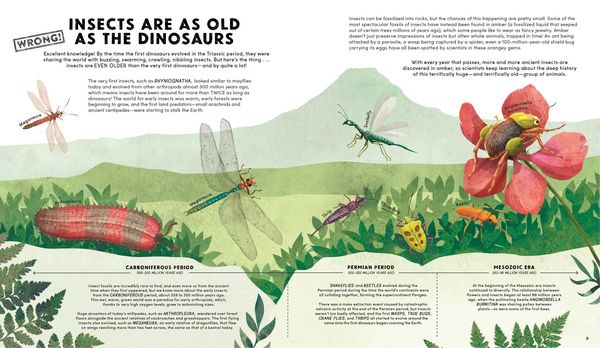 Produktbild: Everything You Know about Bugs (and Other Tiny Creatures) Is Wrong!