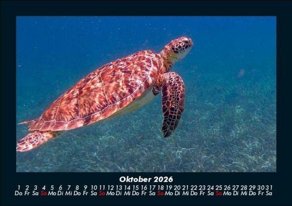 Produktbild: Karibik 2026 Fotokalender DIN A5