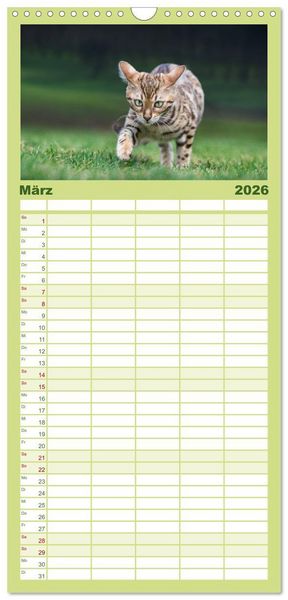 Produktbild: Familienplaner 2026 - Bengalen Outdoor und Action mit 5 Spalten (Wandkalender, 21 x 45 cm) CALVENDO