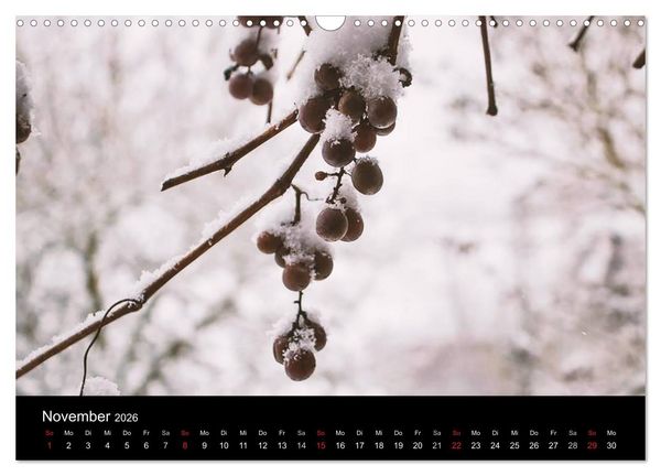 Produktbild: Meine Heimat Westerwald (Wandkalender 2026 DIN A3 quer), CALVENDO Monatskalender