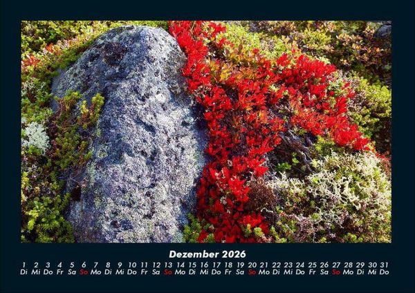 Produktbild: Blumenkalender 2026 Fotokalender DIN A4