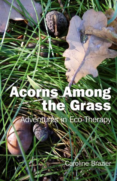 Produktbild: Acorns Among the Grass