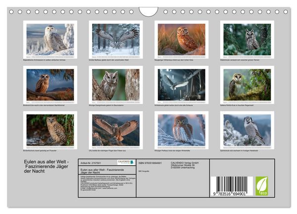 Produktbild: Eulen aus aller Welt - Faszinierende J&auml;ger der Nacht (Wandkalender 2026 DIN A4 quer), CALVENDO Monatskalender