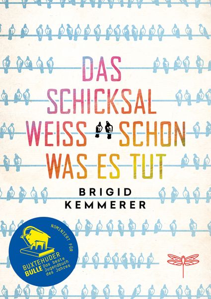 Das Schicksal weiß schon, was es tut, Gebundene Ausgabe von Brigid Kemmerer, Dragonfly