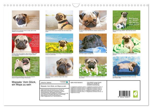Produktbild: Mopsala: Vom Gl&uuml;ck, ein Mops zu sein (Wandkalender 2026 DIN A3 quer), CALVENDO Monatskalender