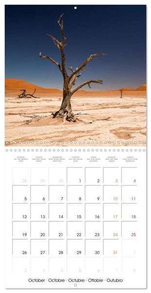 Produktbild: Namibian desert (Wall Calendar 2026 12 &times; 12 Inch) CALVENDO 12 Month Wall Calendar
