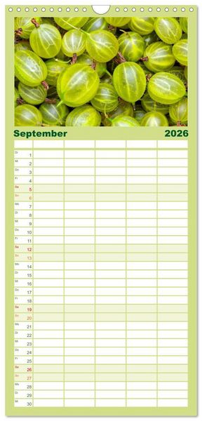Produktbild: Familienplaner 2026 - GR&Uuml;N - Gem&uuml;se und Obst - Knackig und Frisch mit 5 Spalten (Wandkalender, 21 x 45 cm) CALVENDO