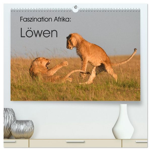 Produktbild: Faszination Afrika: L&ouml;wen (hochwertiger Premium Wandkalender 2026 DIN A2 quer), Kunstdruck in Hochglanz