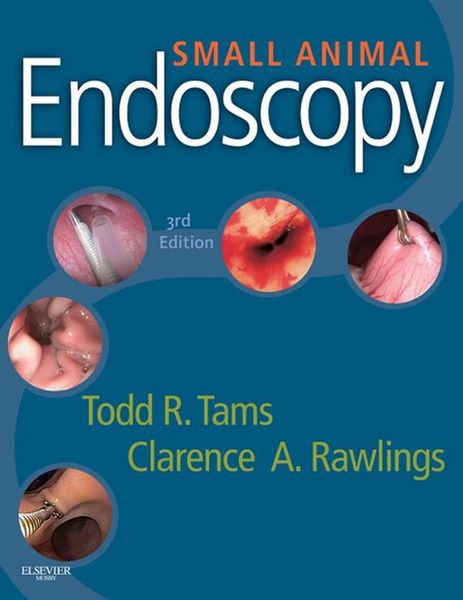 Produktbild: Small Animal Endoscopy