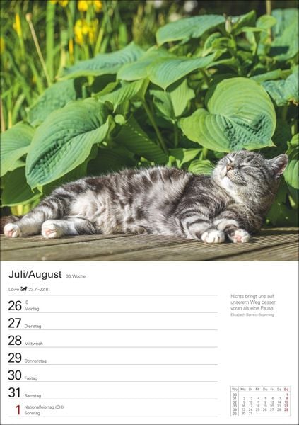Produktbild: Katzen Wochenplaner 2027 - 53 faszinierende Fotografien