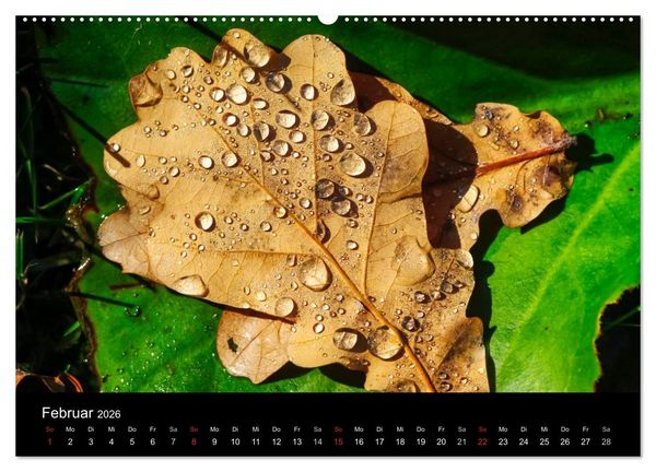 Produktbild: Wassertropfen (Wandkalender 2026 DIN A2 quer), CALVENDO Monatskalender