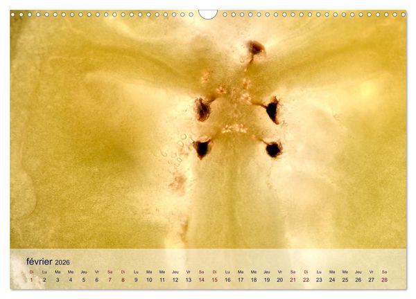 Produktbild: C&oelig;ur de fruits c&oelig;ur de l&eacute;gumes (Calendrier mural 2026 DIN A3 vertical), CALVENDO calendrier mensuel