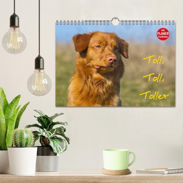 Produktbild: Toll, toll, Toller (Wandkalender 2026 DIN A4 quer), CALVENDO Monatskalender
