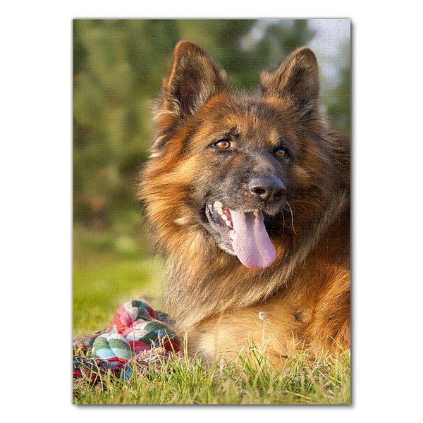 Produktbild: Lais Puzzle Sch&auml;ferhund 1000 Teile