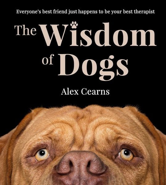 Produktbild: The Wisdom Of Dogs