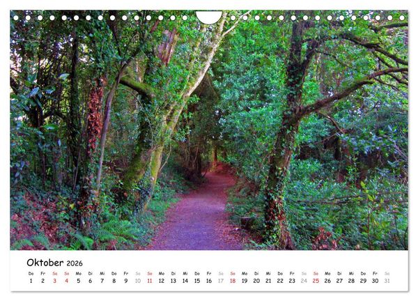 Produktbild: Jakobsweg - Camino Ingles (Wandkalender 2026 DIN A4 quer), CALVENDO Monatskalender