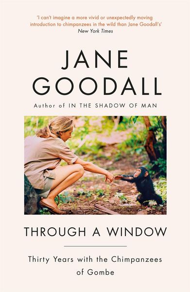 Produktbild: Through A Window