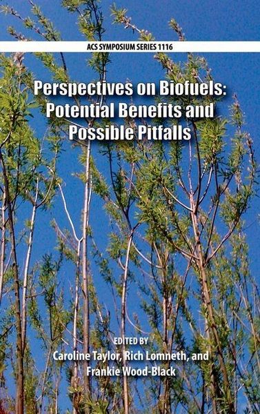 Produktbild: Perspectives On Biofuels