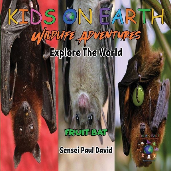 Produktbild: KIDS ON EARTH Wildlife Adventures - Explore The World - Fruit Bat - Maldives