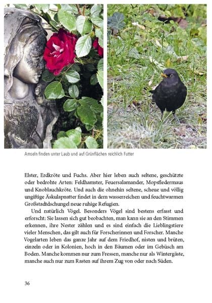 Produktbild: Der Friedhof lebt!