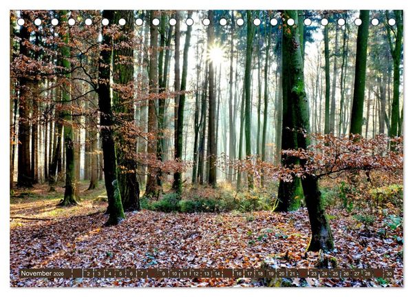 Produktbild: Wiesen W&auml;lder Weiher. Der Naturpark Augsburg-Westliche W&auml;lder (Tischkalender 2026 DIN A5 quer), CALVENDO Monatskalender